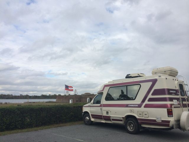 50 - Jackson Buttercup