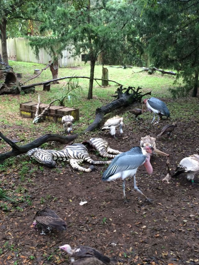 69 - Feed the Birds. Tuppins a bag